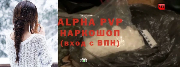 PSILOCYBIN Волосово