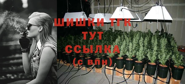 PSILOCYBIN Волосово