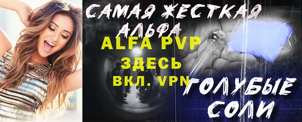 PSILOCYBIN Волосово