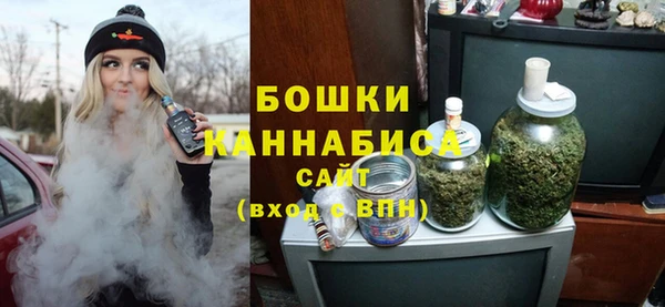 PSILOCYBIN Волосово