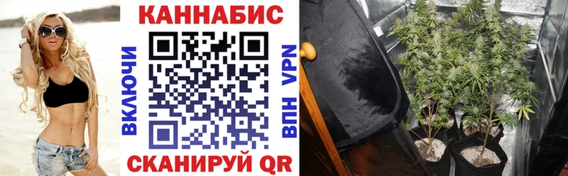 купить наркотик  Карабаш  ссылка на мегу ТОР  Конопля гибрид 